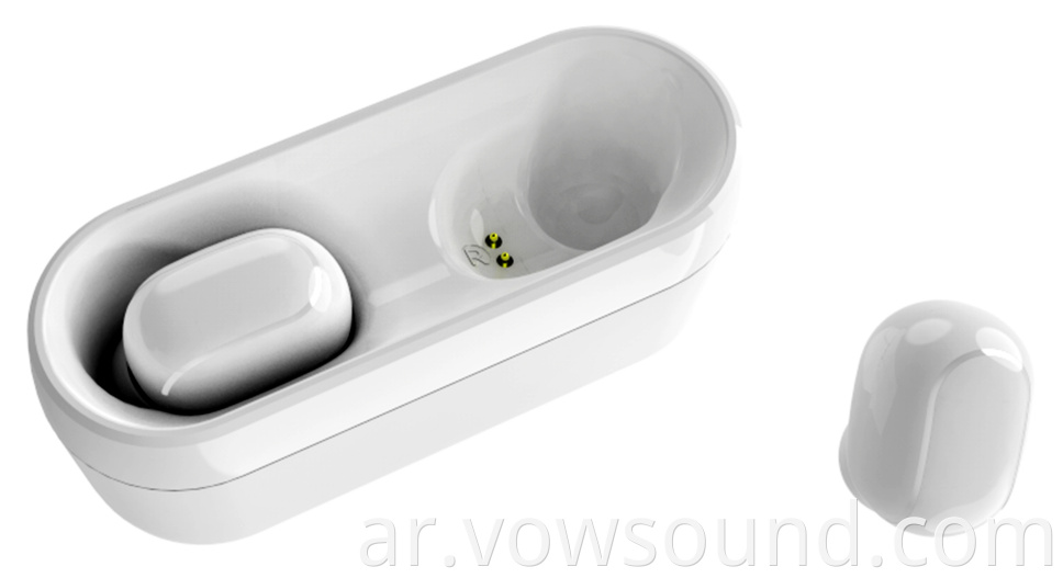 TWS Wireless Earbuds